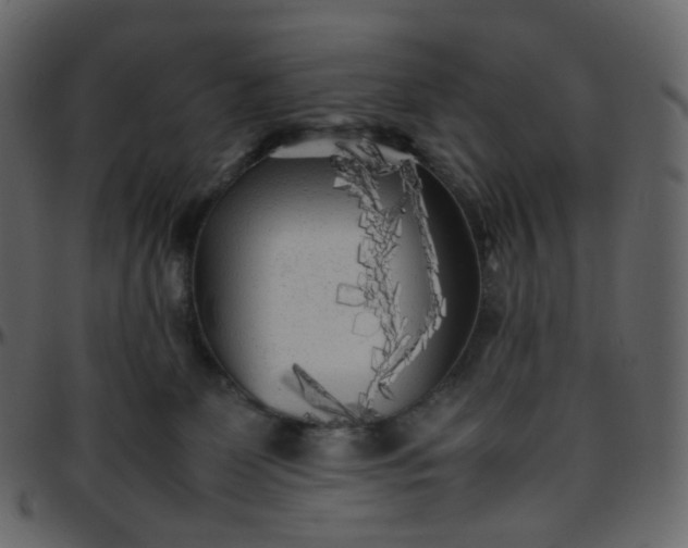 X0000095690131200801221255