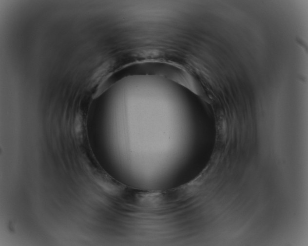 X0000095690132200801221255