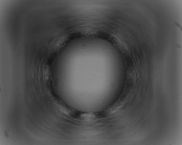 X0000095690133200801221255