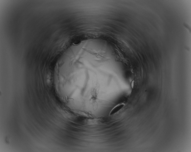 X0000095690134200801221255