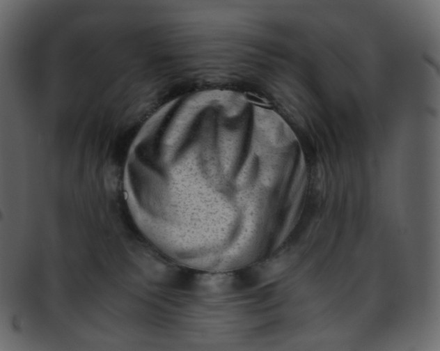 X0000095690135200801221255