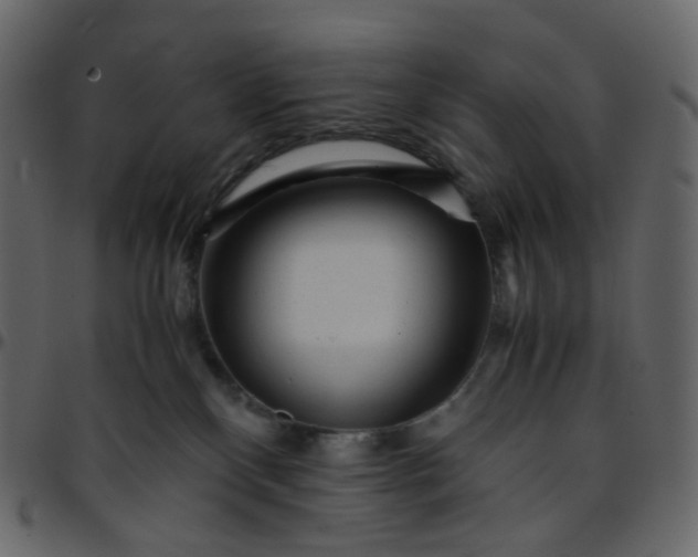 X0000095690136200801221255