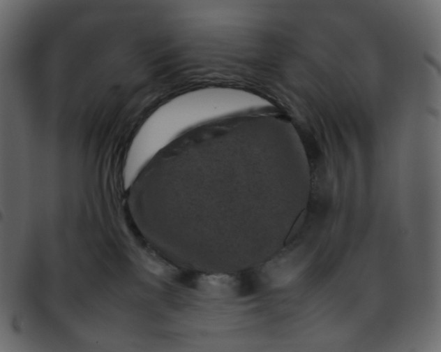 X0000095690137200801221255