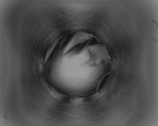 X0000095690138200801221255