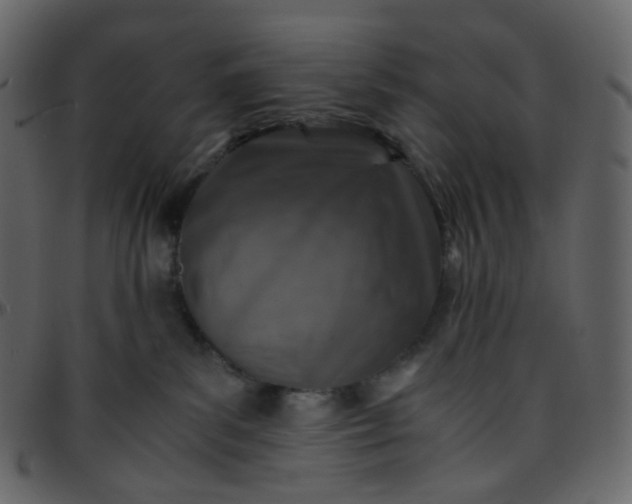 X0000095690139200801221255