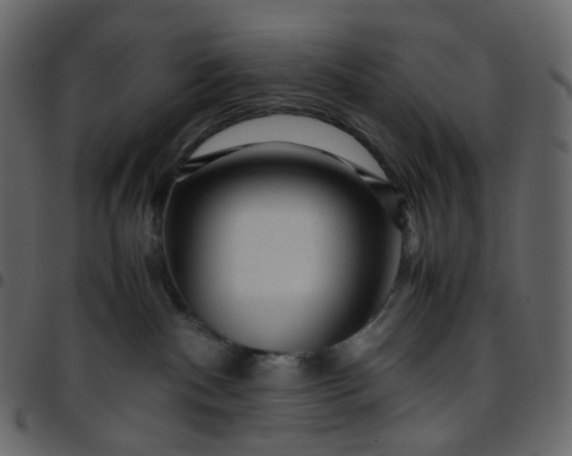 X0000095690140200801221255