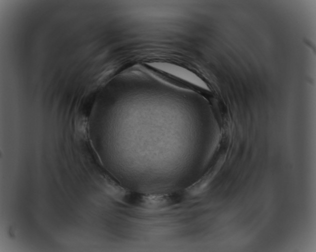 X0000095690141200801221255