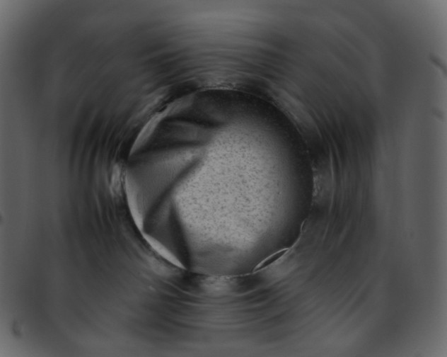 X0000095690142200801221255