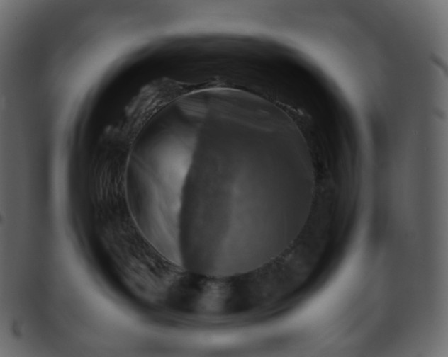 X0000095690143200801221255