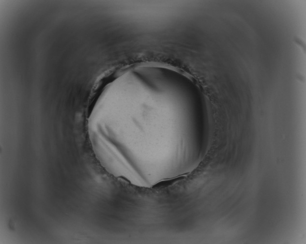 X0000095690144200801221255