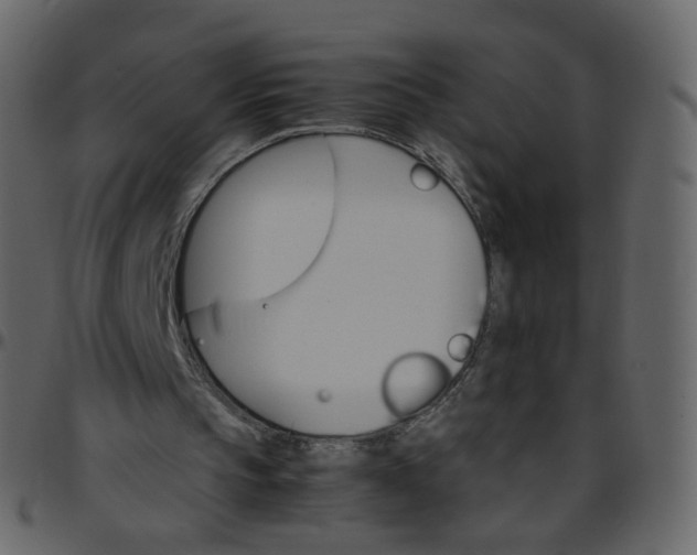 X0000095690145200801221254