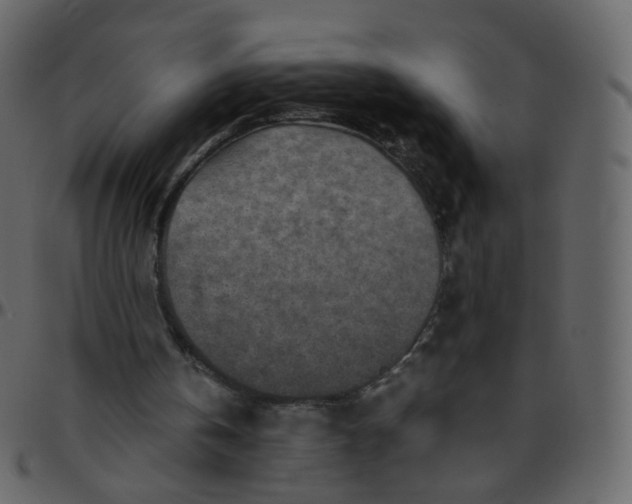 X0000095690146200801221254