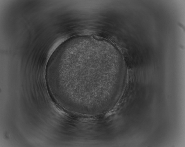 X0000095690147200801221254