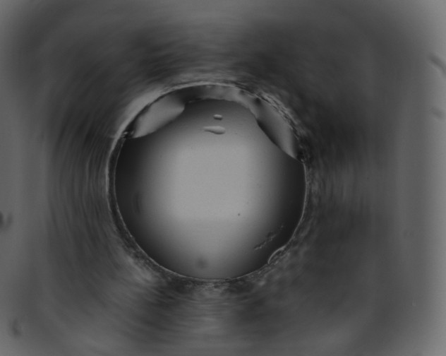 X0000095690148200801221254