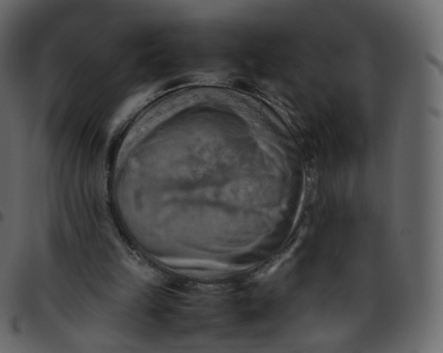 X0000095690149200801221254