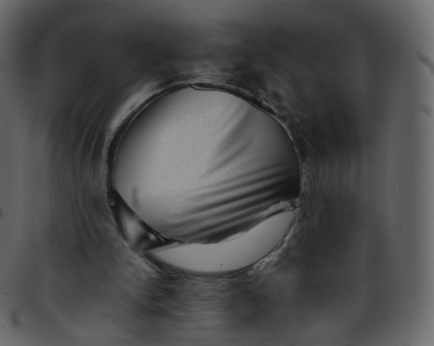 X0000095690150200801221254