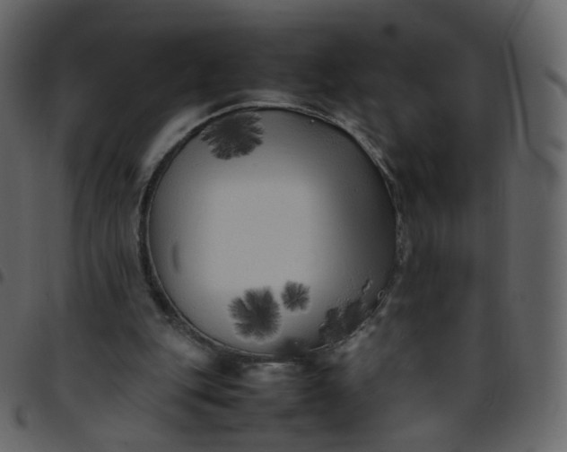 X0000095690151200801221254