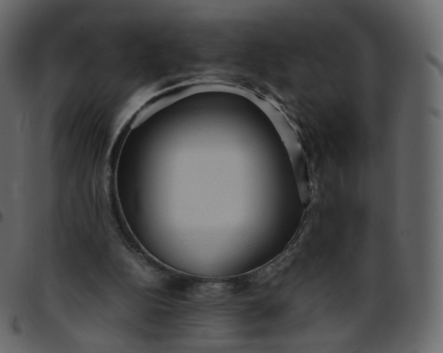 X0000095690152200801221254