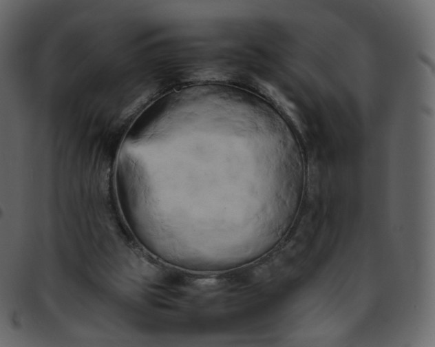 X0000095690153200801221254