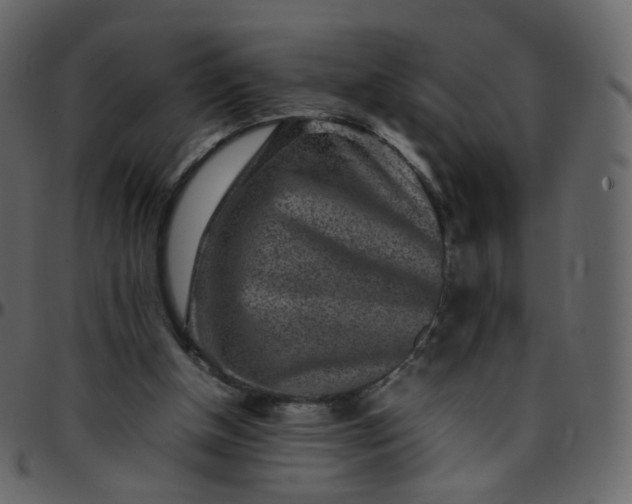 X0000095690154200801221255