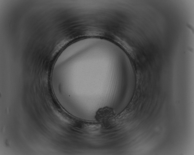 X0000095690155200801221255