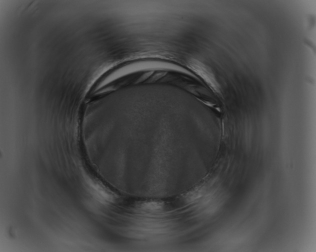 X0000095690156200801221255