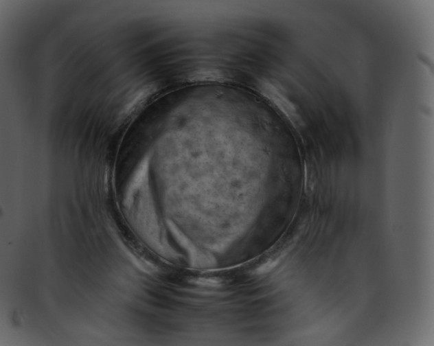 X0000095690157200801221255