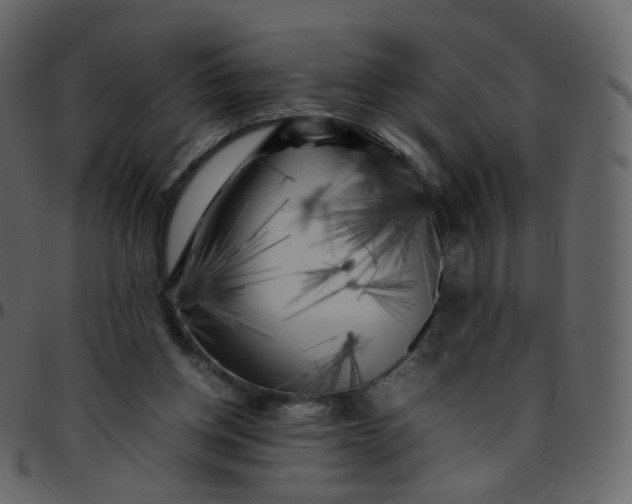 X0000095690158200801221255