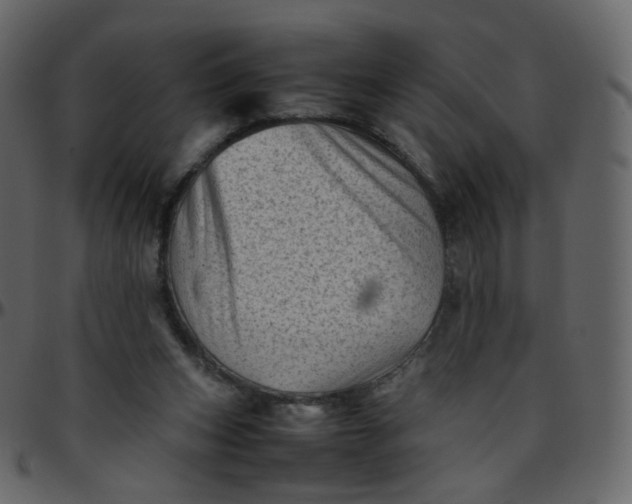 X0000095690159200801221255