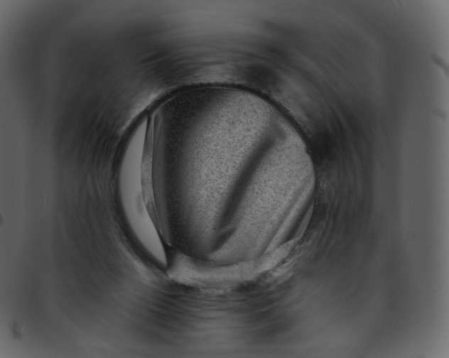 X0000095690160200801221255