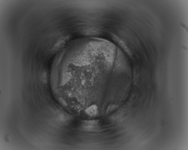 X0000095690161200801221255