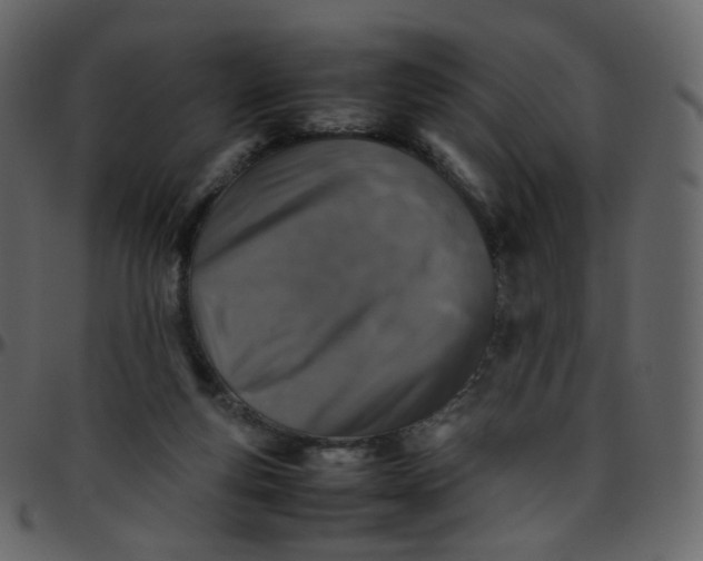 X0000095690163200801221255