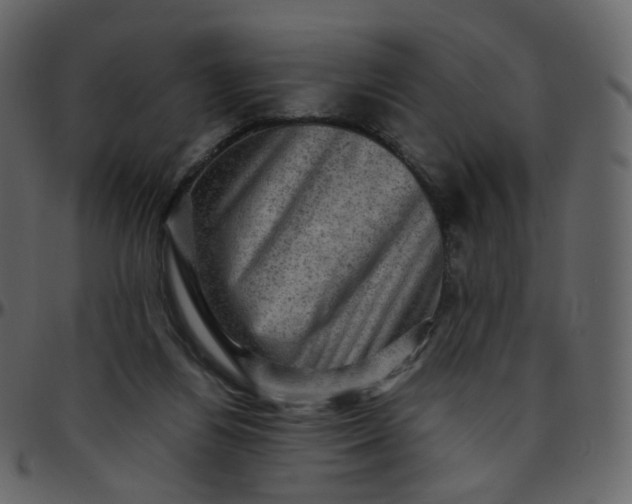 X0000095690164200801221255