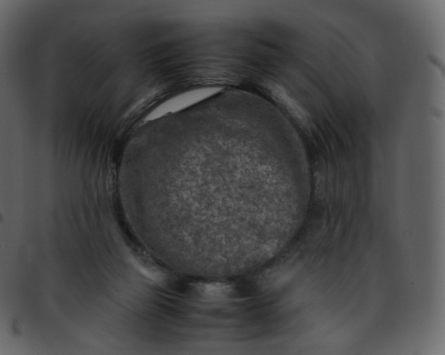 X0000095690165200801221255