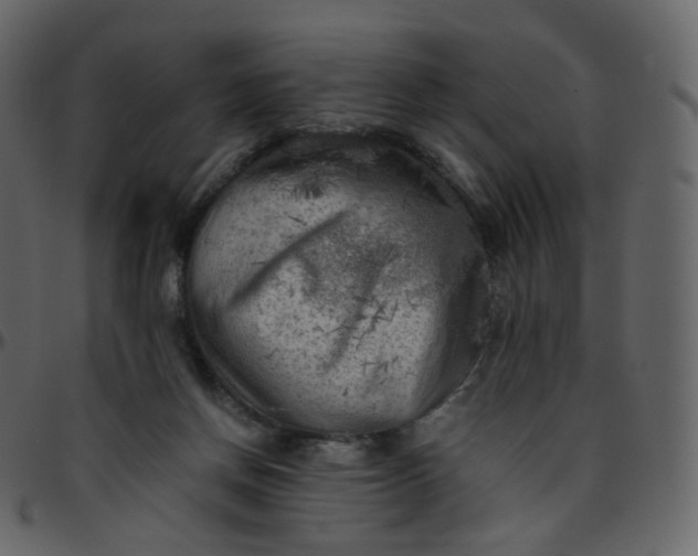 X0000095690166200801221255