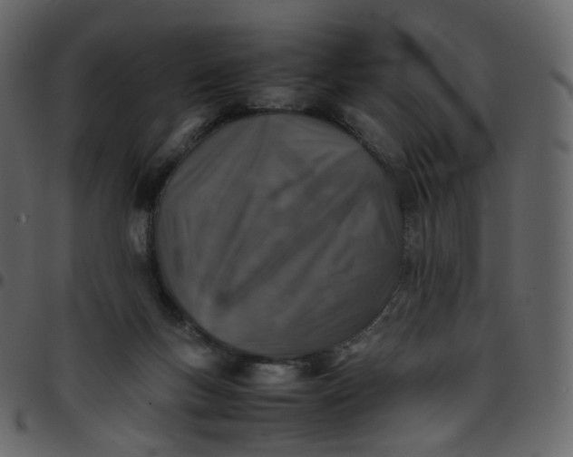 X0000095690167200801221255