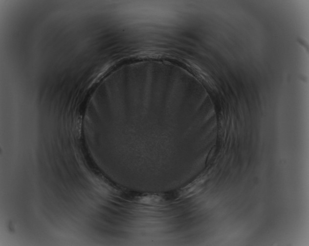 X0000095690168200801221255