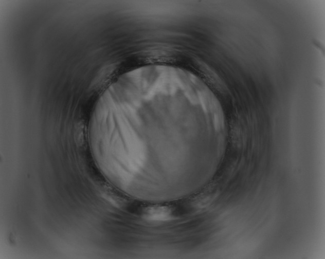 X0000095690169200801221255