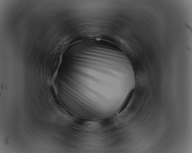 X0000095690170200801221255