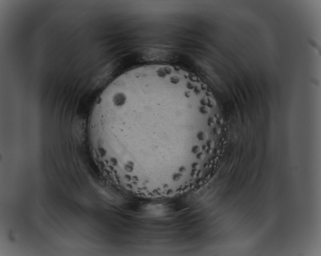 X0000095690171200801221255