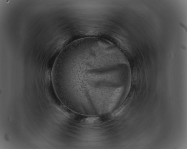 X0000095690172200801221255