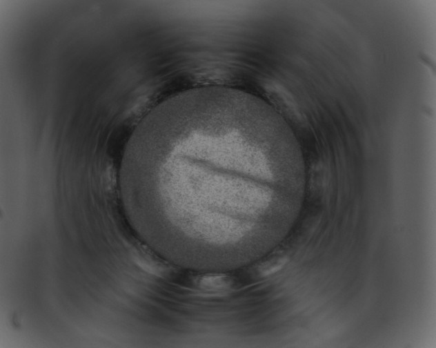 X0000095690173200801221255