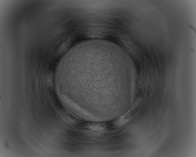 X0000095690175200801221255