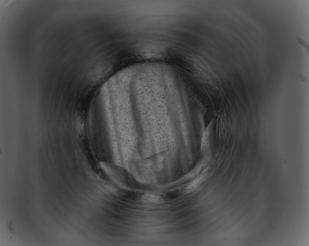 X0000095690176200801221255