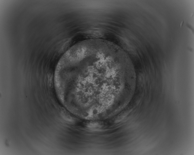 X0000095690177200801221255