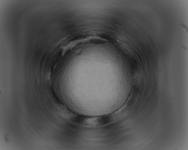 X0000095690178200801221255