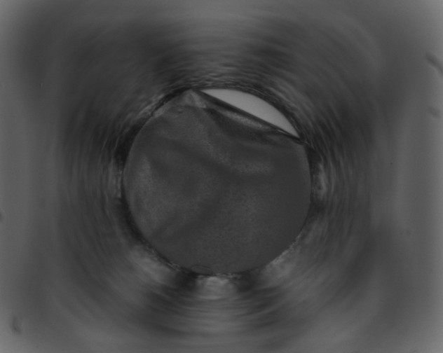 X0000095690180200801221255