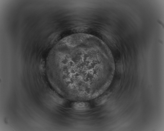 X0000095690181200801221255