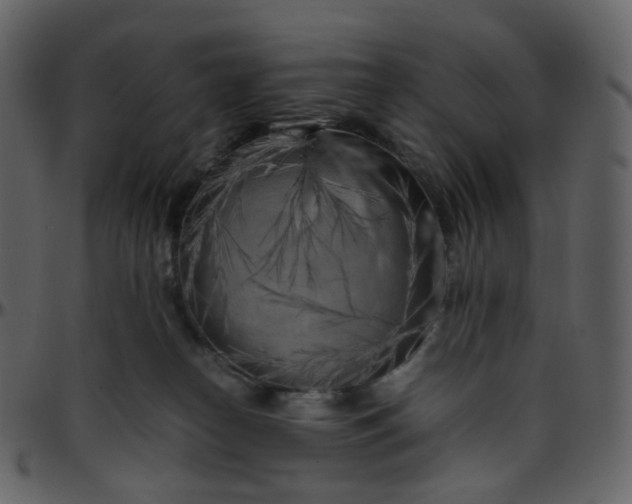 X0000095690182200801221255