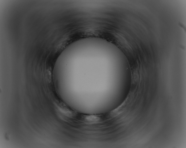 X0000095690183200801221255